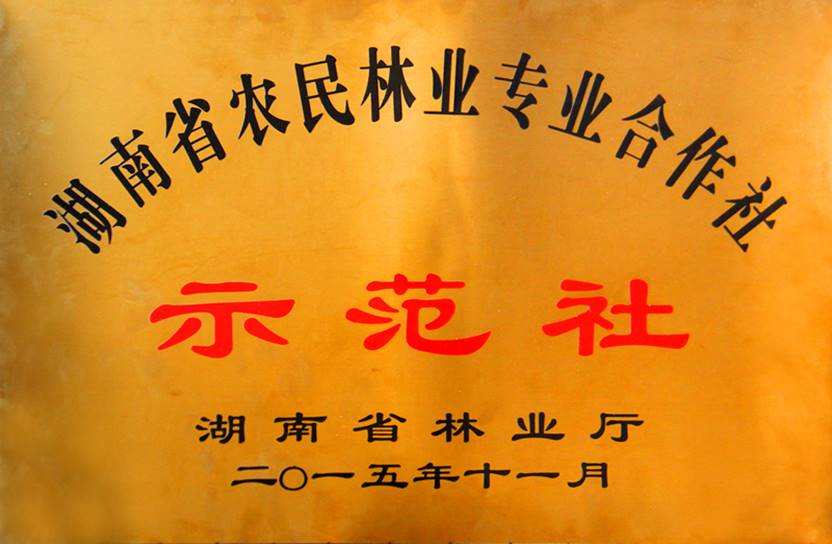 活动照片2